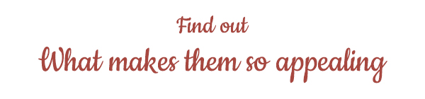 Find out What makes them so appealing